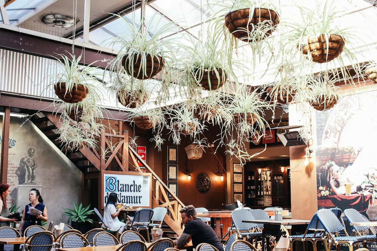 Stylish indoor bistro with hanging plants and woven chairs creates a cozy atmosphere for dining.